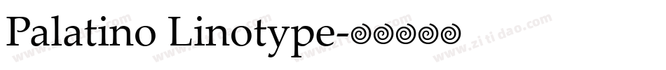 Palatino Linotype字体转换